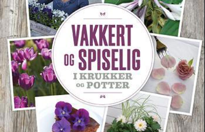 Vakkertogspiselig